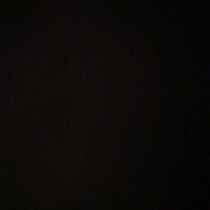 Meet your Posher, Daisy